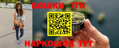 шишки Будённовск