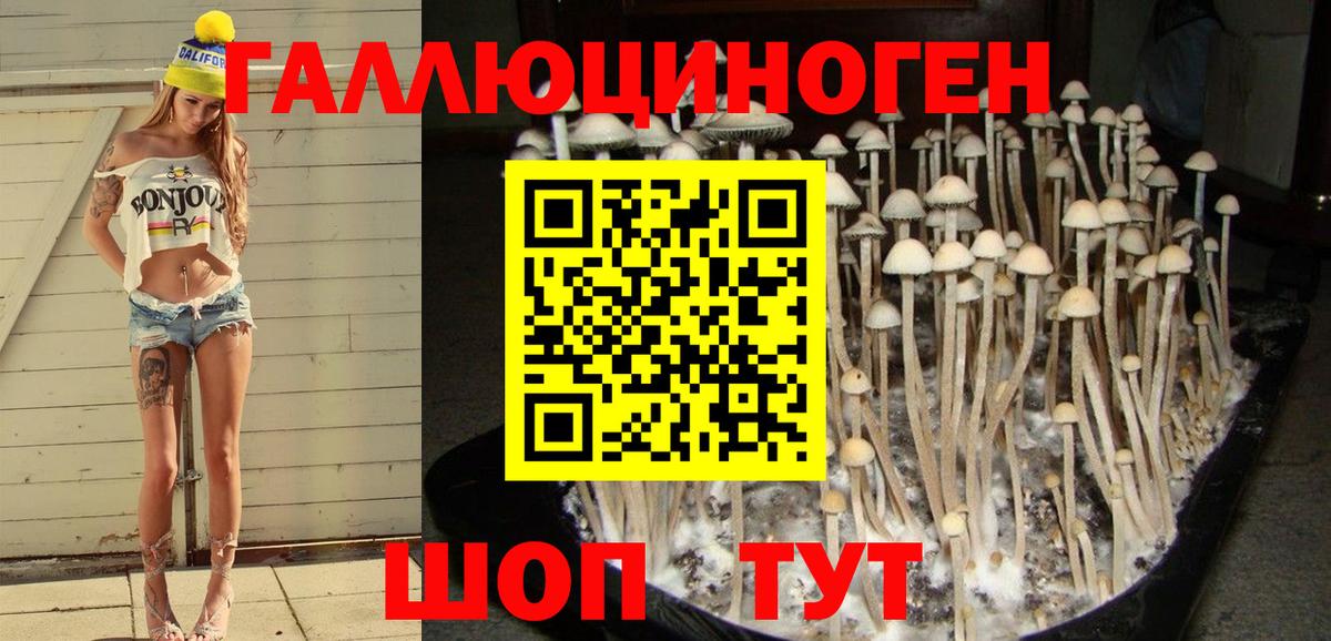 Псилоцибиновые грибы Cubensis  Вход с VPN  Галлюциногенные грибы Cubensis  Рыбинск 